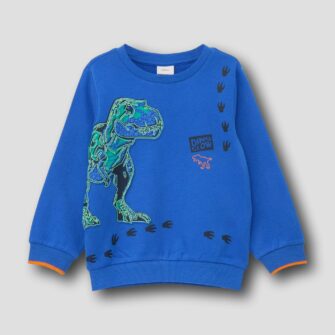 Sweatshirt mit Dinosaurier-Druck